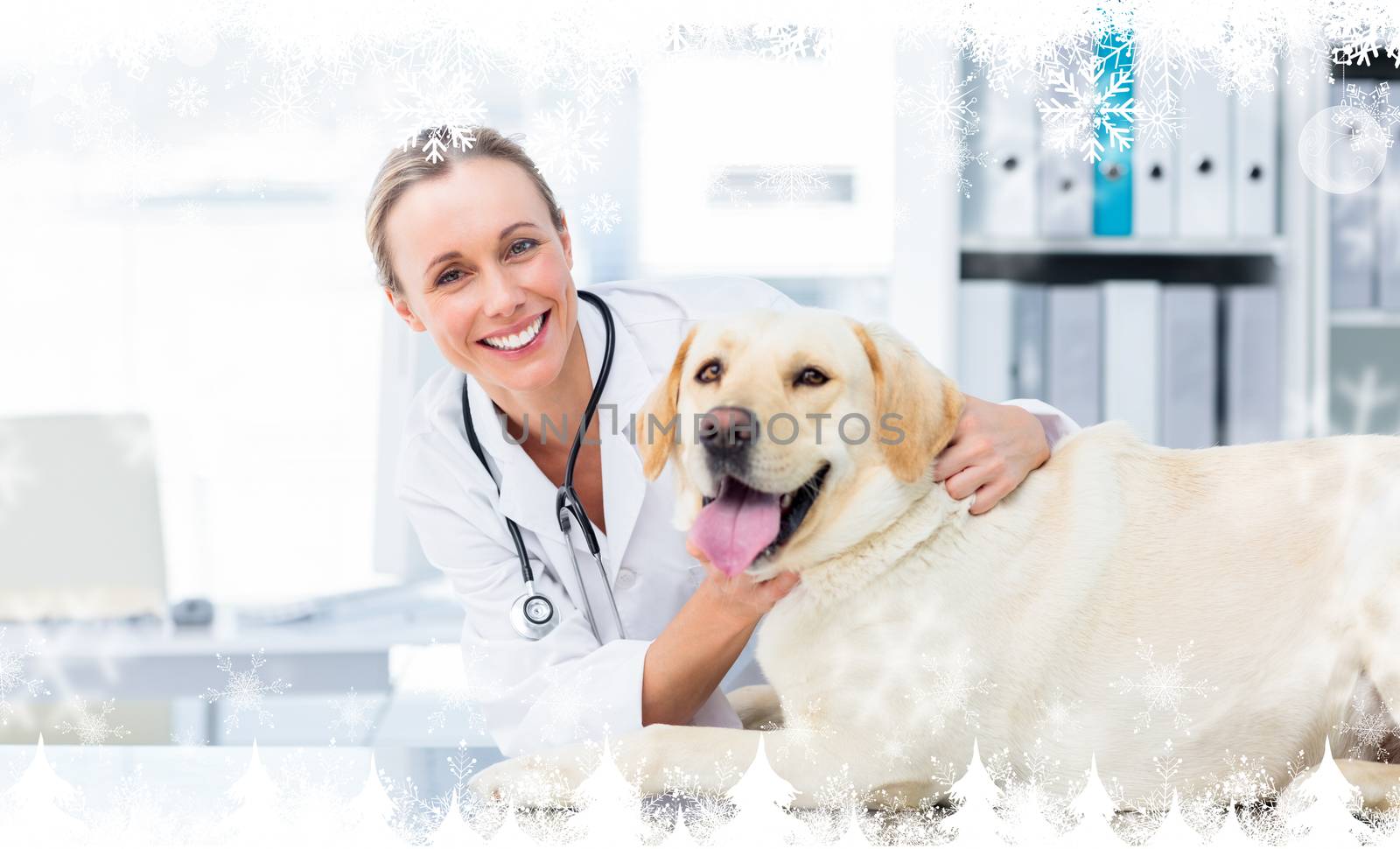 Composite image of a Female veterinarian examining dog against snowflakes