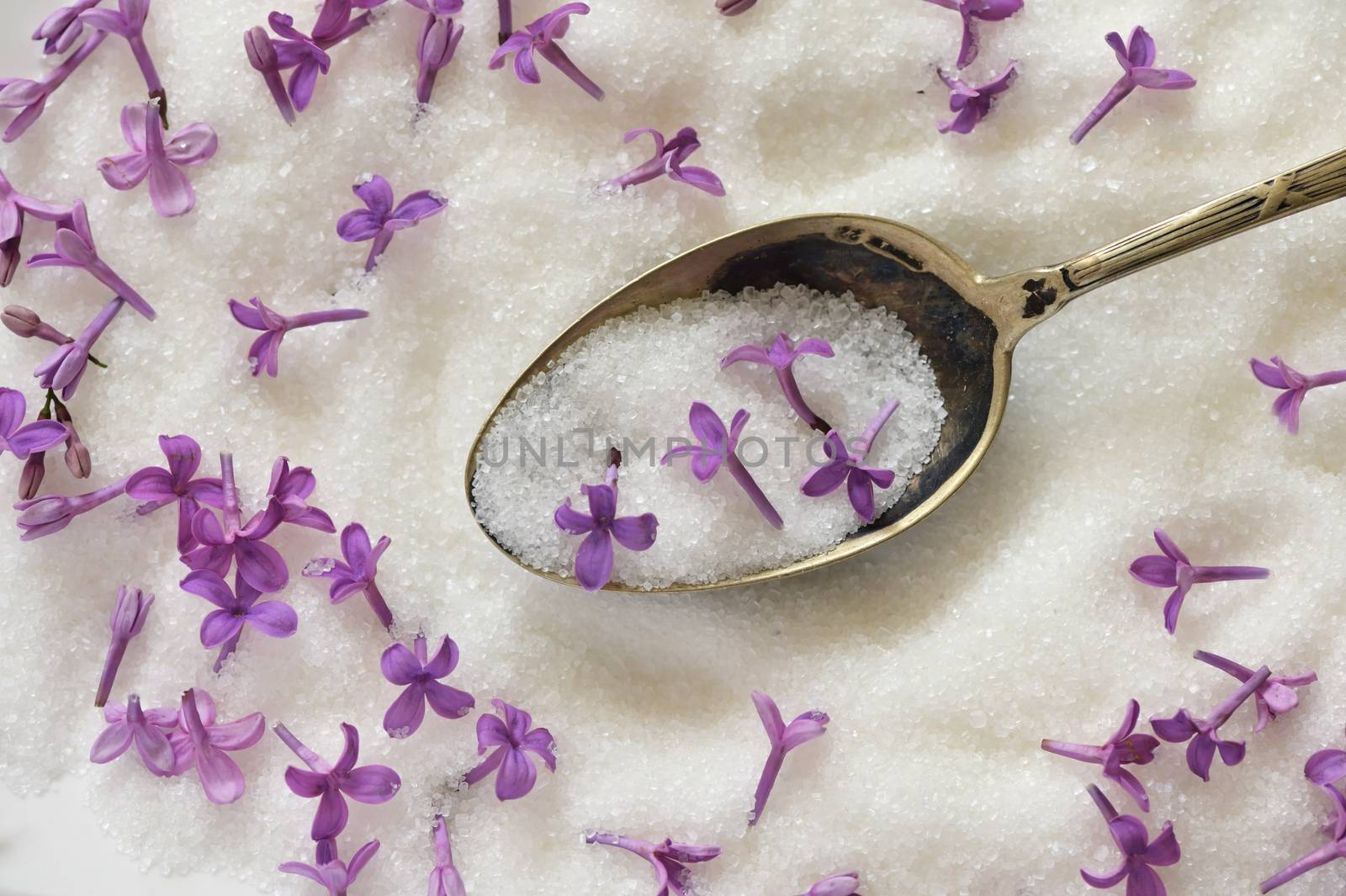 Lilac Sugar In Spoon And Plate  by mady70