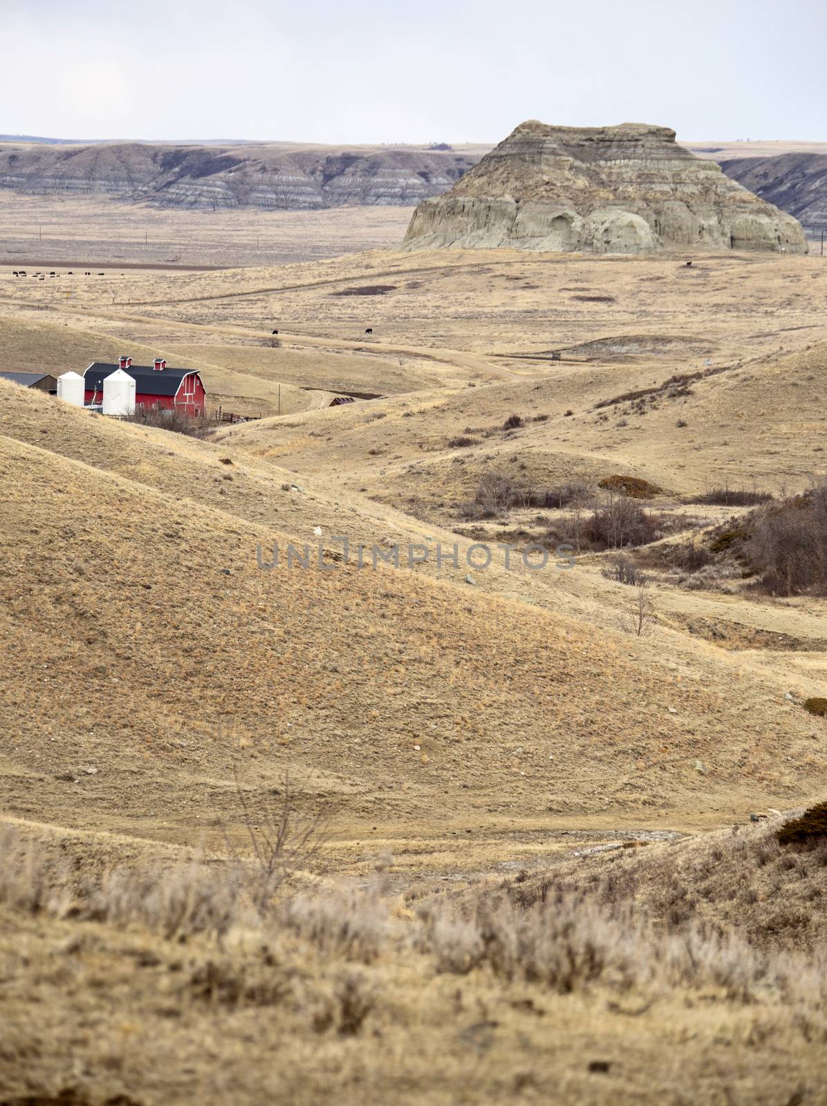Big Muddy Saskatchewan Badlands by pictureguy