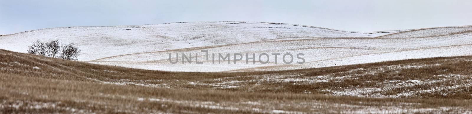 Landscape Saskatchewan Prairie by pictureguy