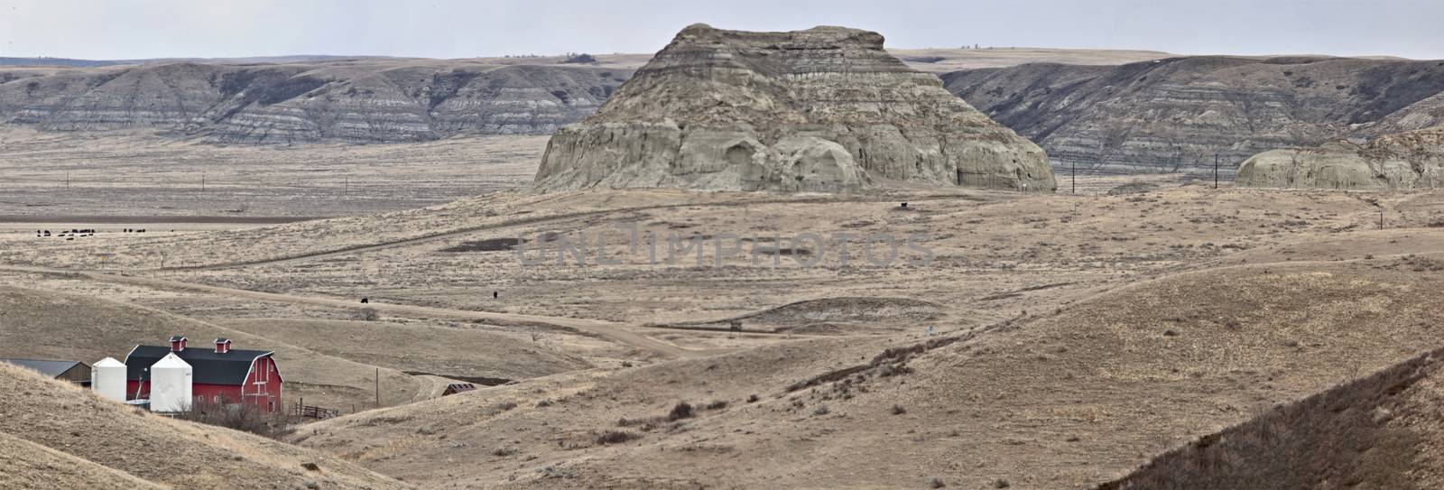 Big Muddy Saskatchewan Badlands by pictureguy