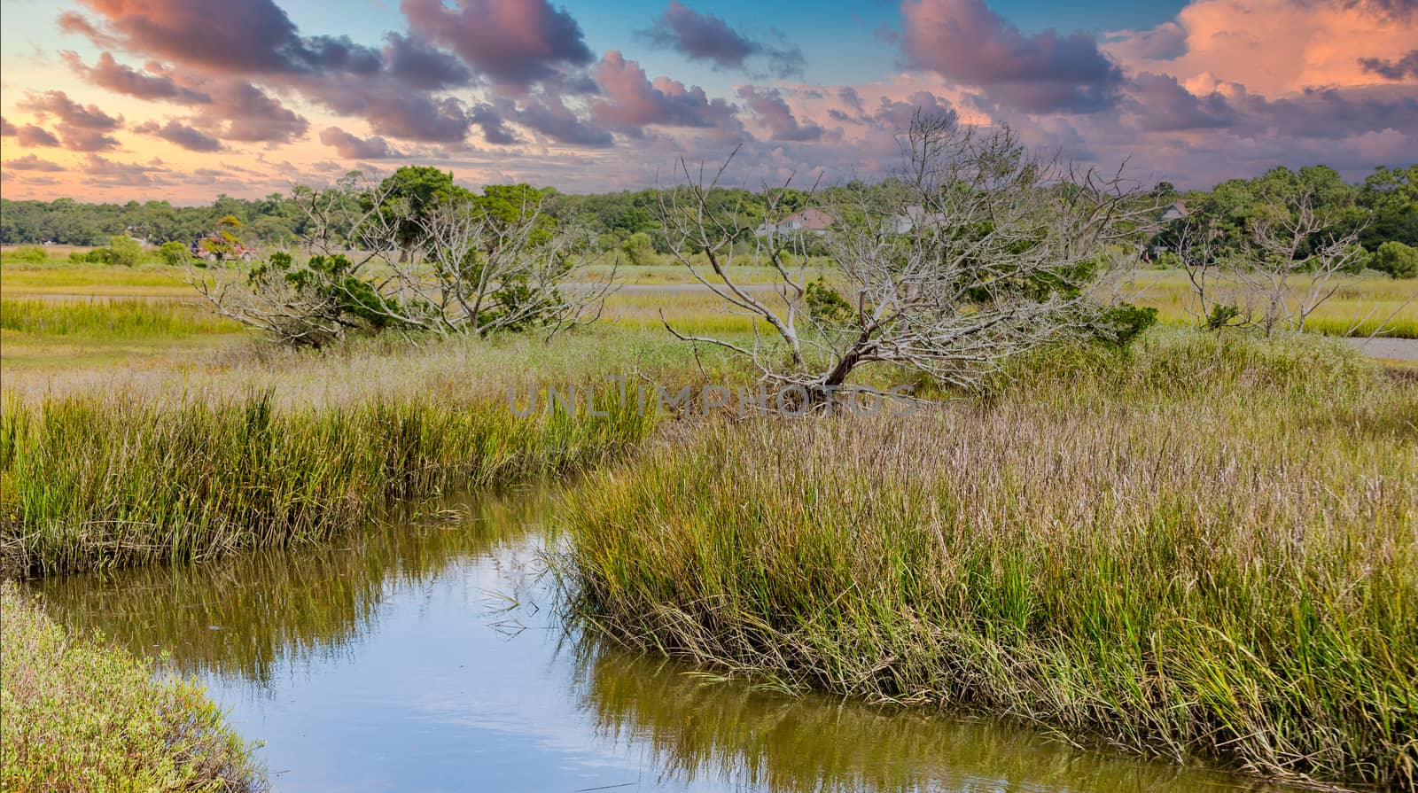 High Tide Through Marsh at Dusk by dbvirago