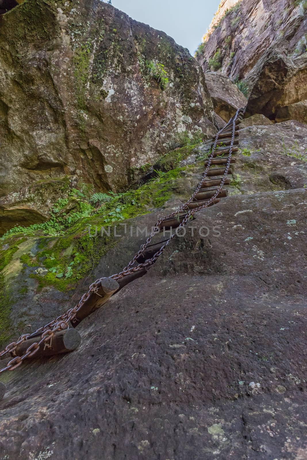 A chain ladder in the Crack near Mahai in the Drakensberg
