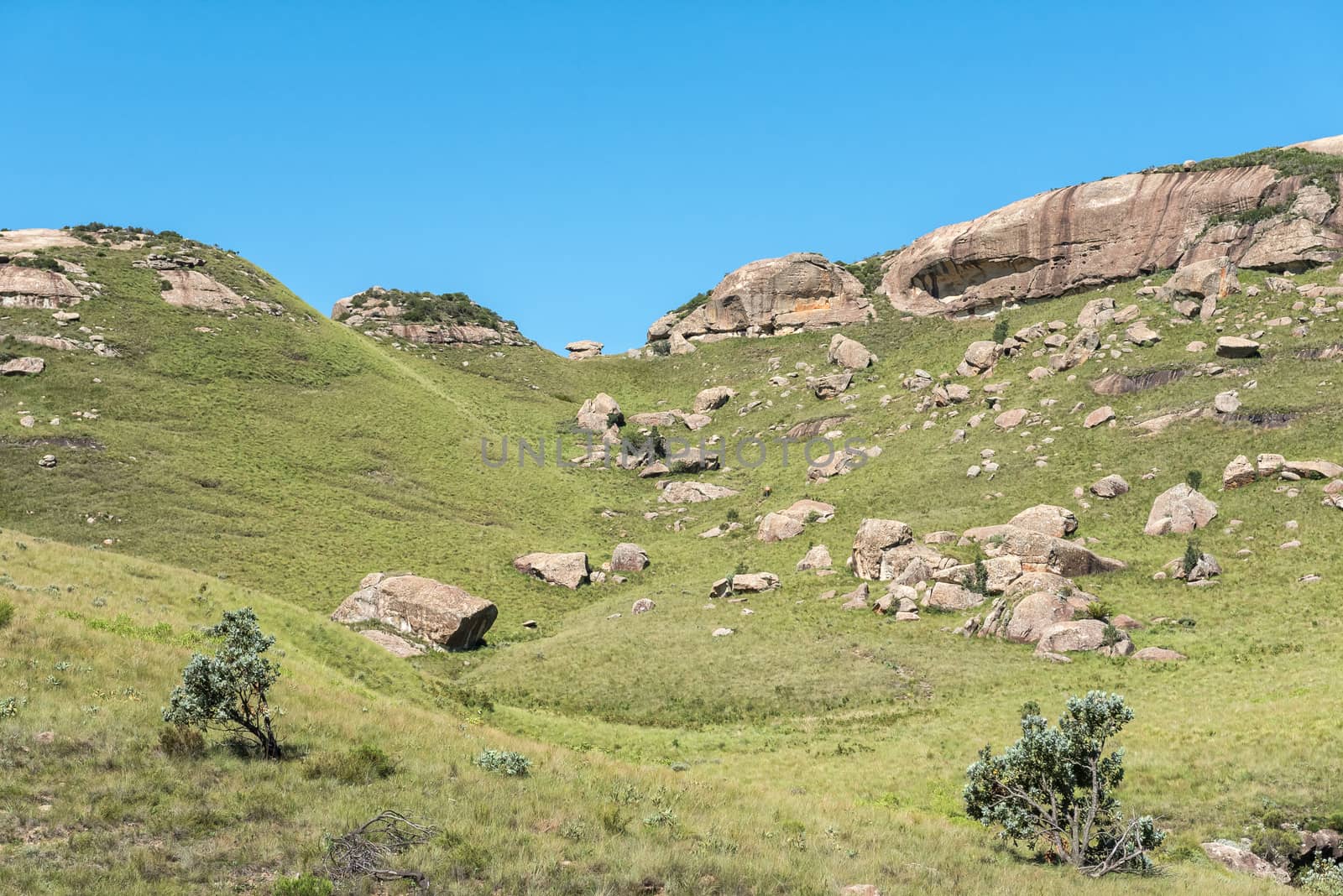 Hiker on the trail on Ploughmans Kop to the Mudslide by dpreezg