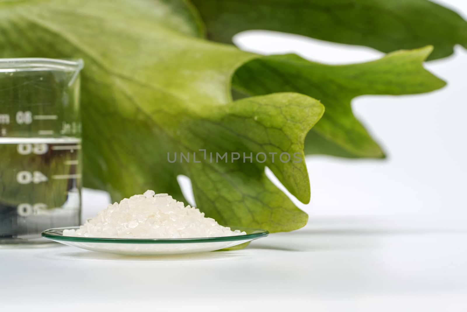 Spa products are beautifully arranged on a white table. Close up Bath Crystal on Watch Glass.