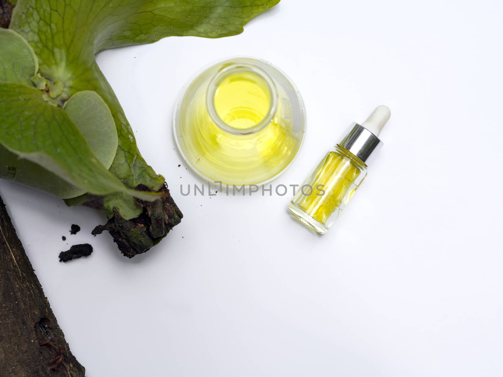 Yellow cosmetic color (oil). Chemicals for beauty care arranged in natural form in a white background. (Top View)
