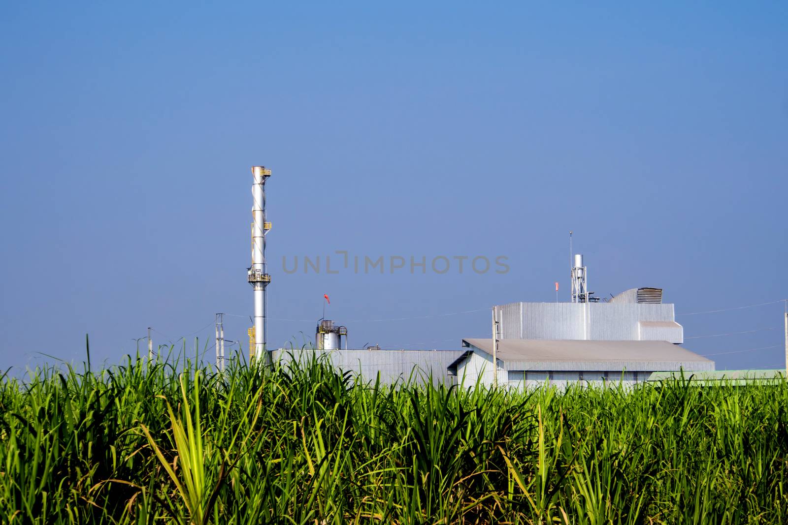 Smokestacks and factories in sugarcane farms