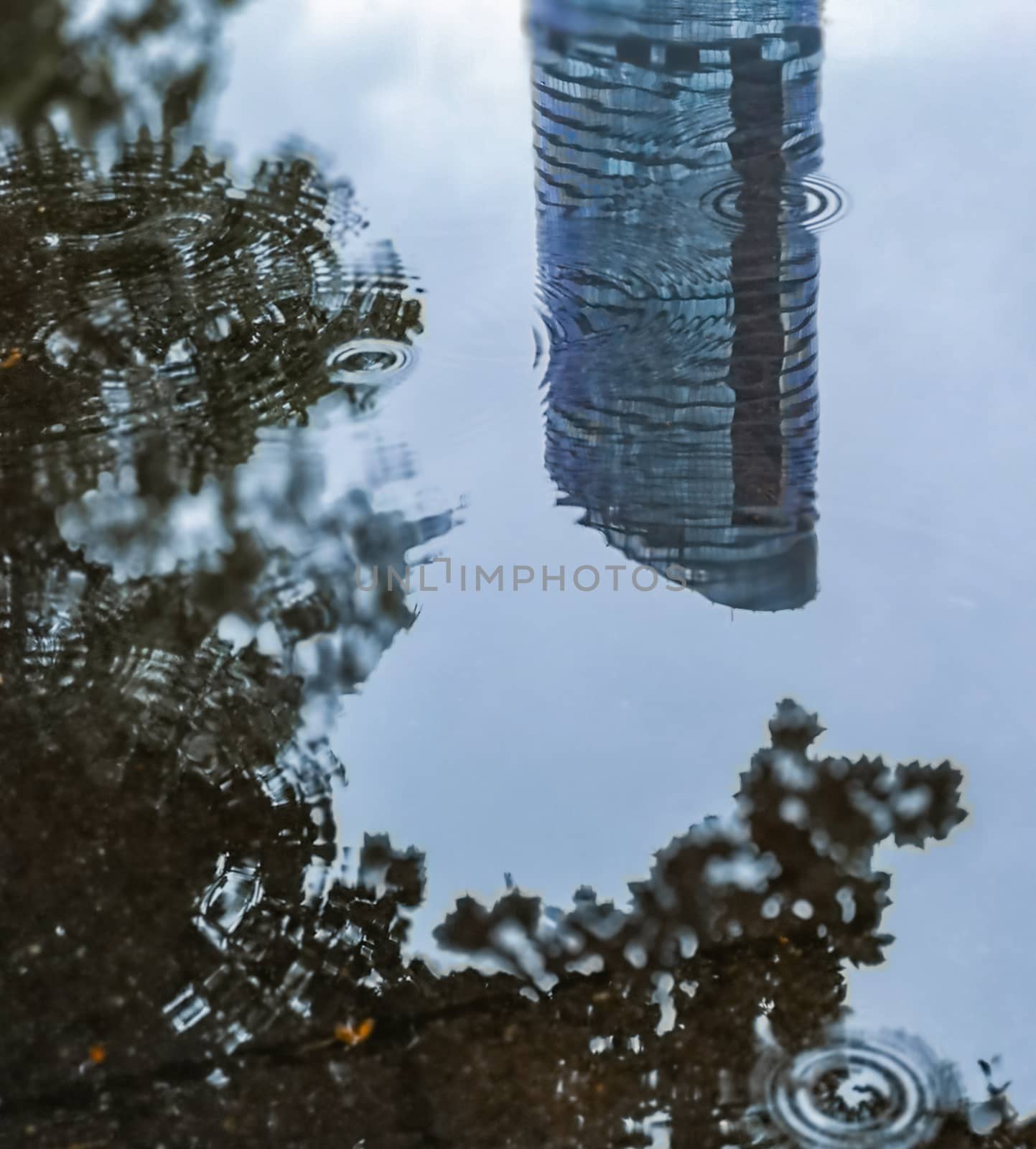 Peak of skyscraper and tree crown reflecting in puddle at rainy day by Wierzchu