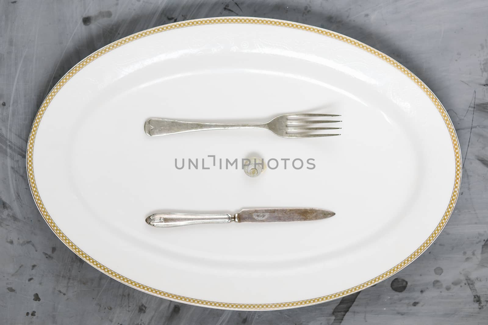 Snail, Fork and Knife on White Plate on Grey Concrete Background. Copy space.