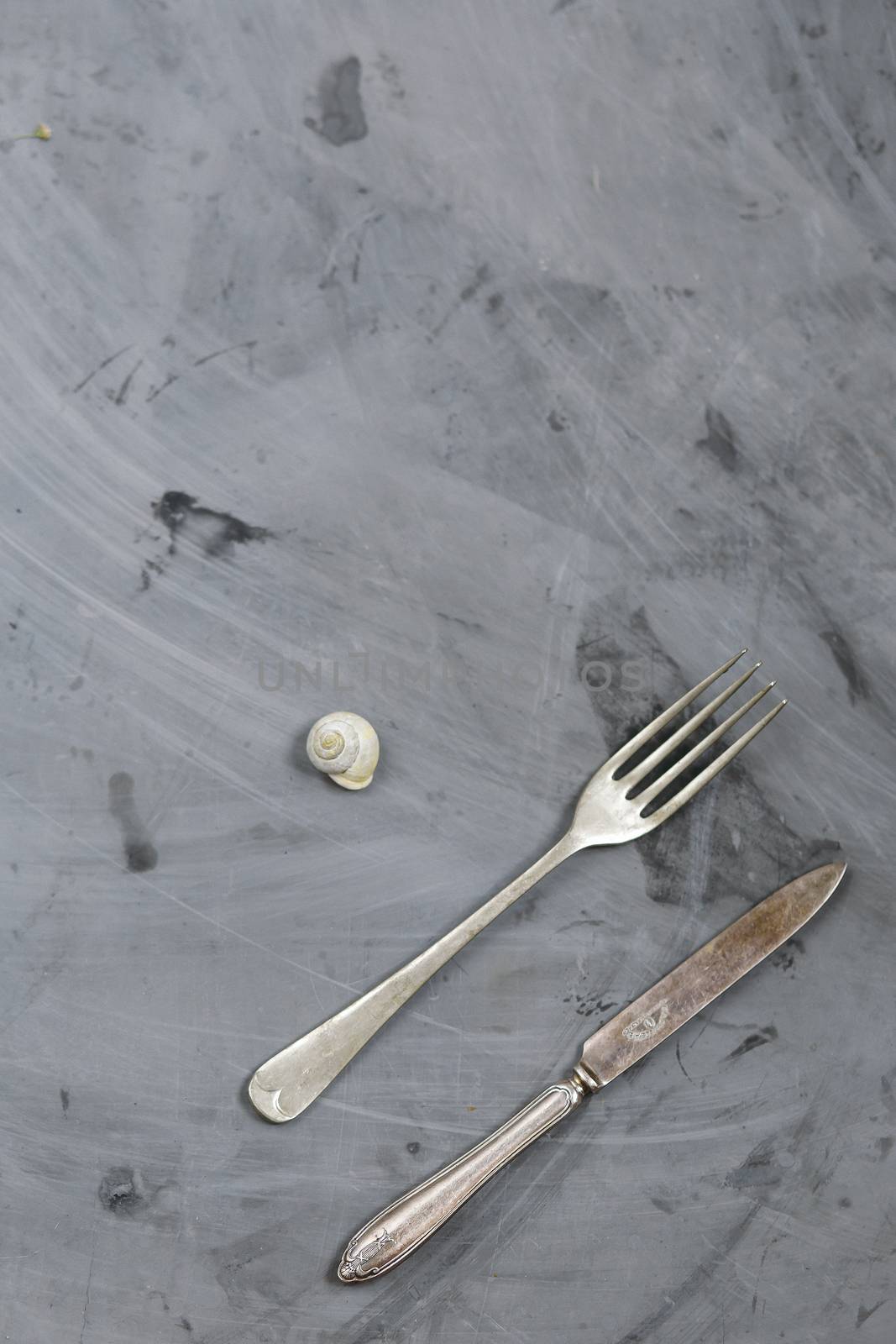 Snail, Fork and Knife on Grey Concrete Background. Copy space.