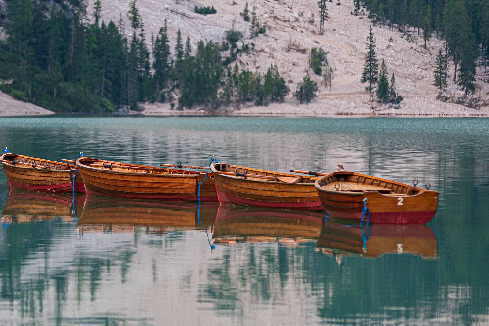 Row of wooden boats tied up in the middle of Lake Braies at first light in the morning, Trentino Alto Adige