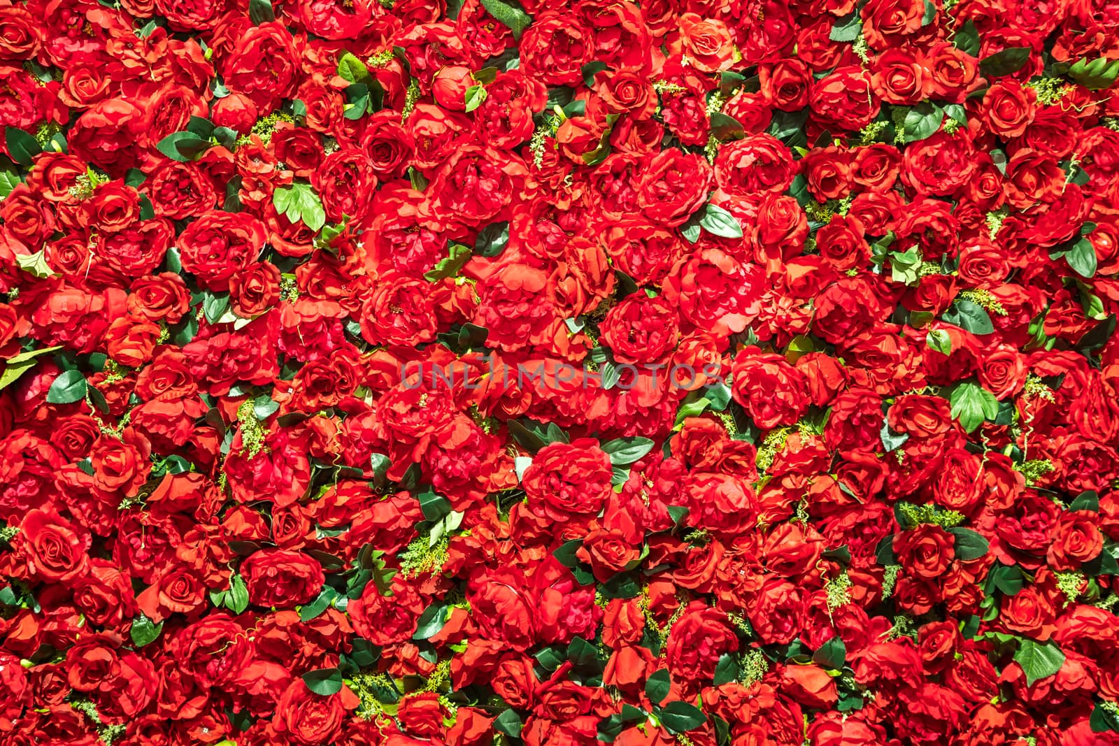 Flower background of red roses with green leaves