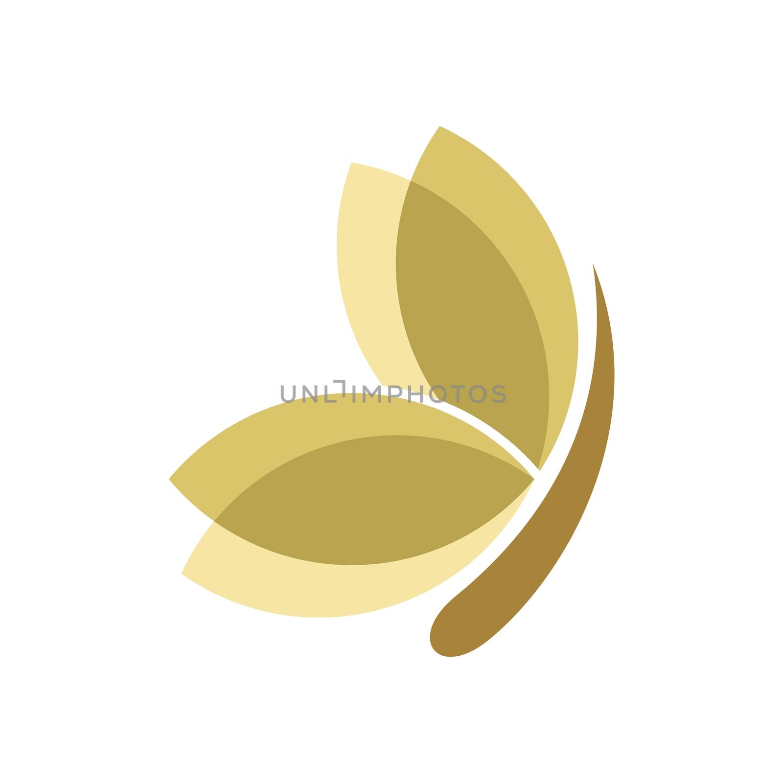 Gold Wing Butterfly Logo Template Illustration Design. Vector EPS 10.