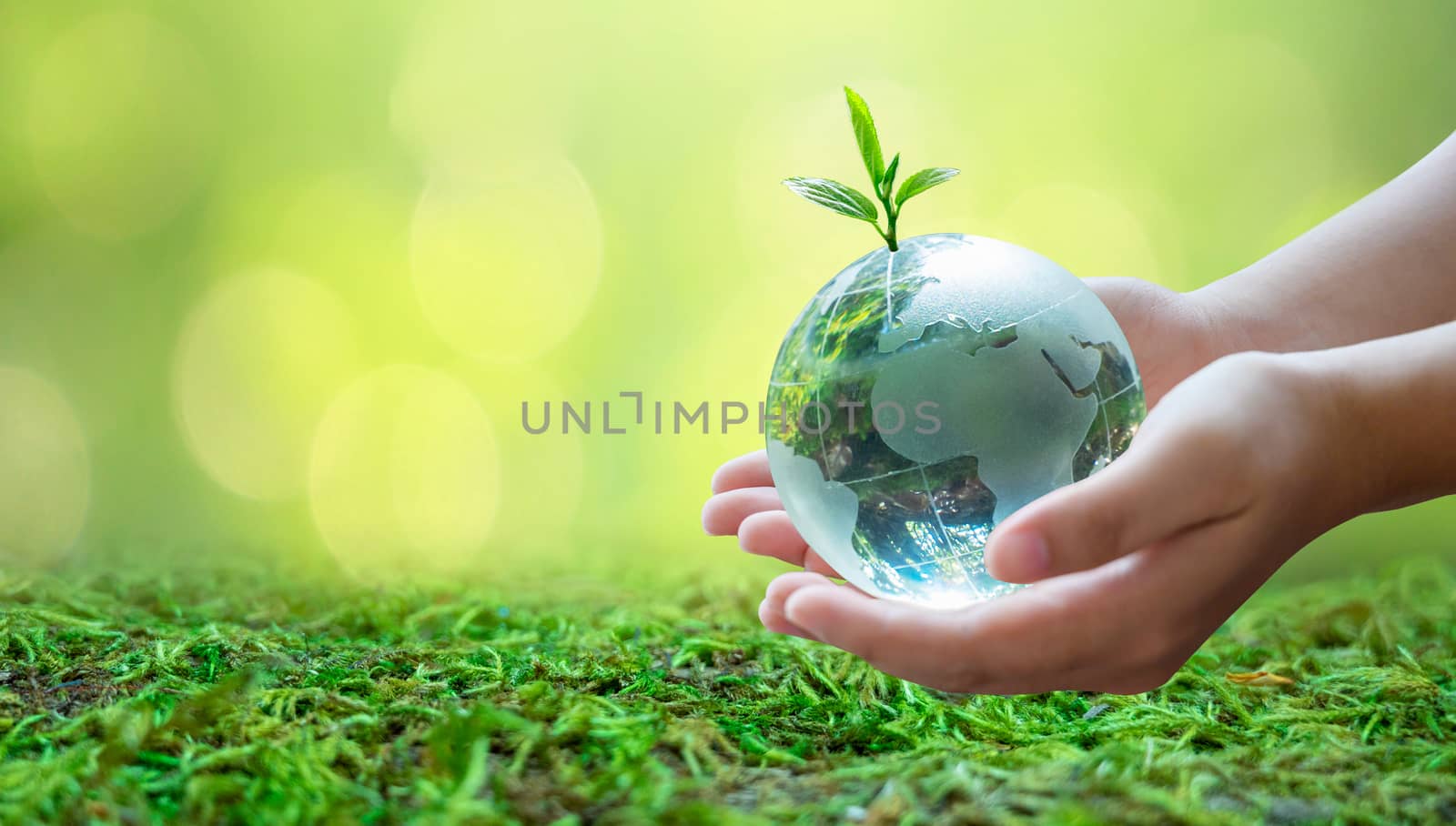 Adults are sending the world to babies. Concept day earth Save the world save environment The world is in the grass of the green bokeh background