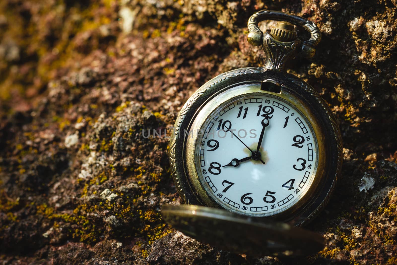 Vintage old pocket watch placed on the rock in forest and morning sunlight. At 8 o’clock. Closeup and copy space.