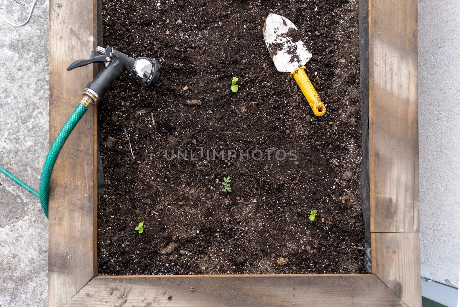 Grow bed whit some things on it and plants growing