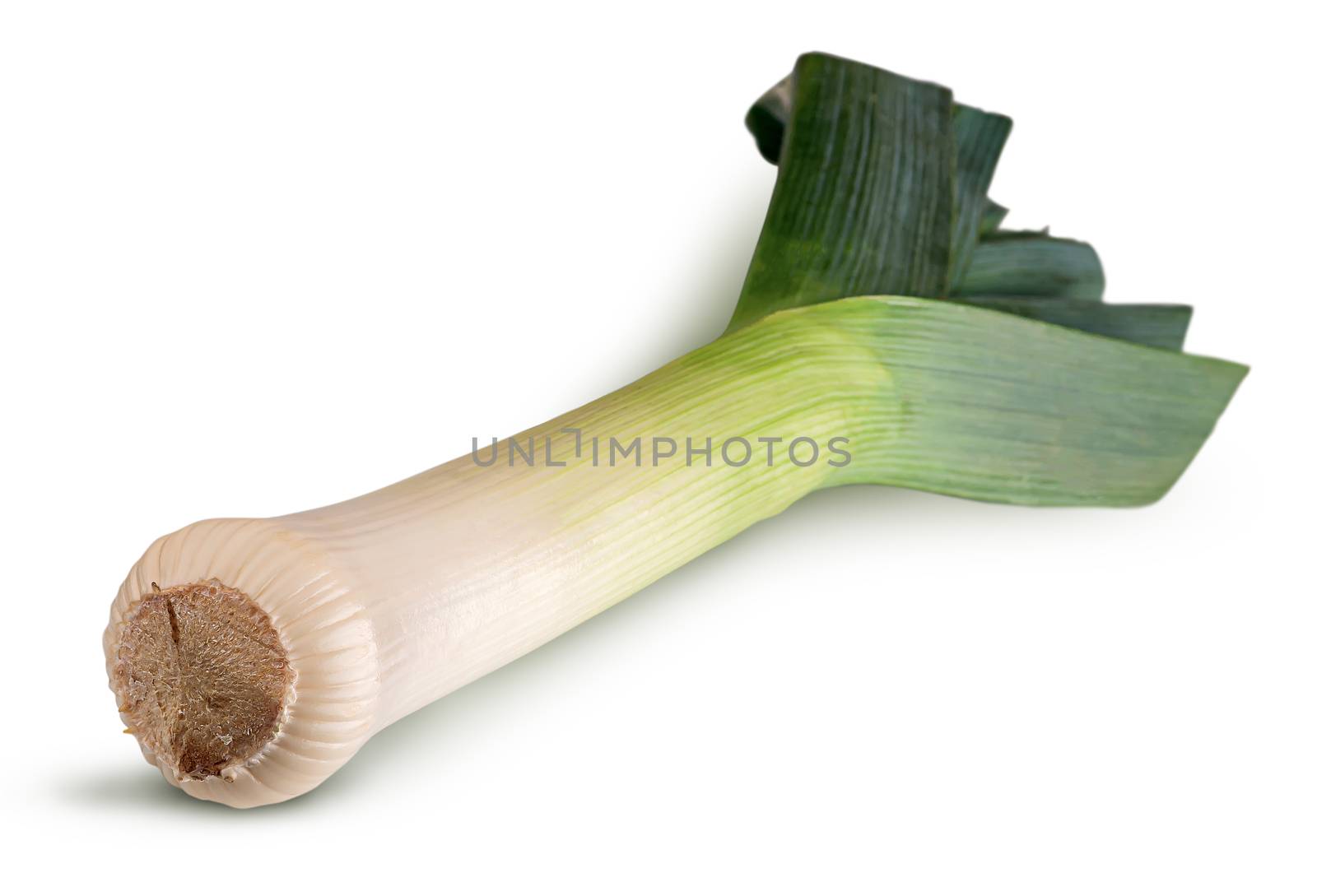 Fresh green leek isolated on white background