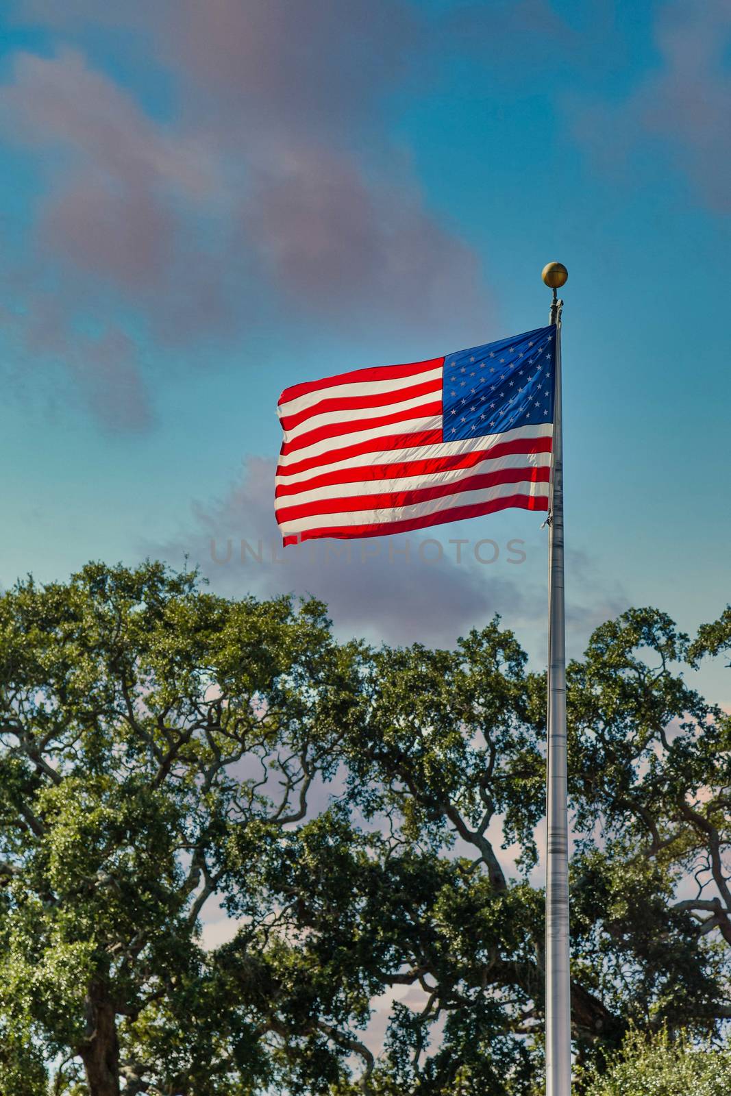 American Flag blowing in the wind at the top of a flagpole
