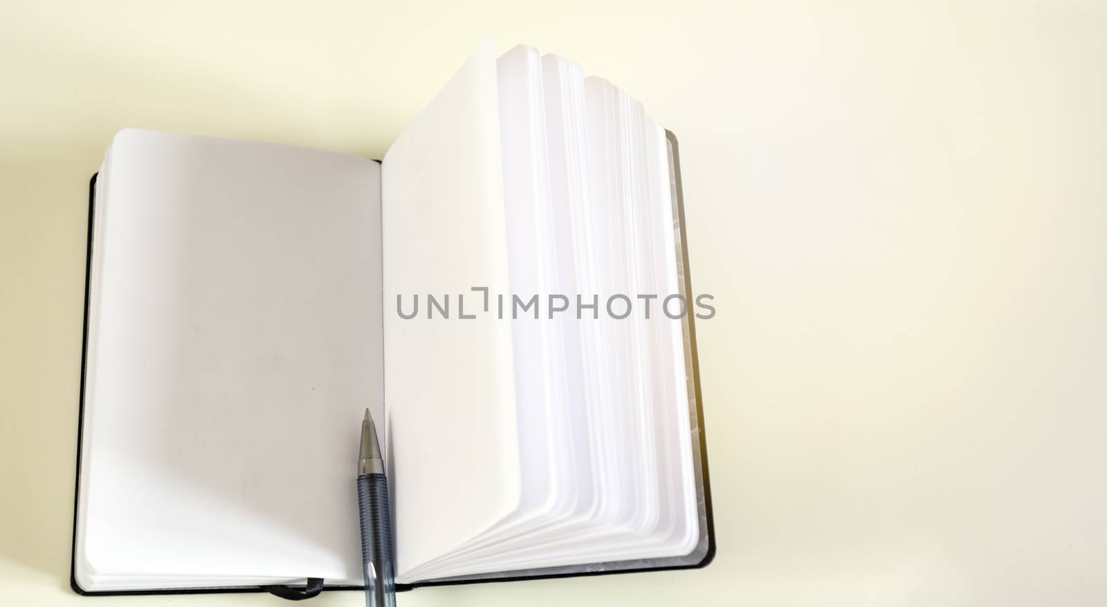 A ballpoint pen in the middle of an open notebook by rarrarorro