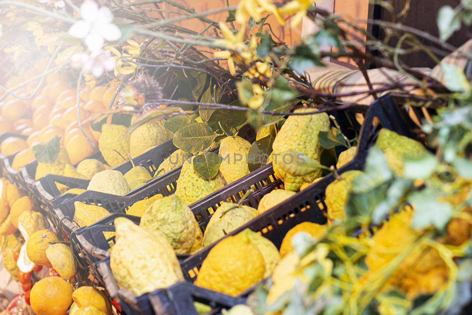 Group of Sicilian citrus fruits. Oranges, lemons for sale in plastic boxes. Summer season