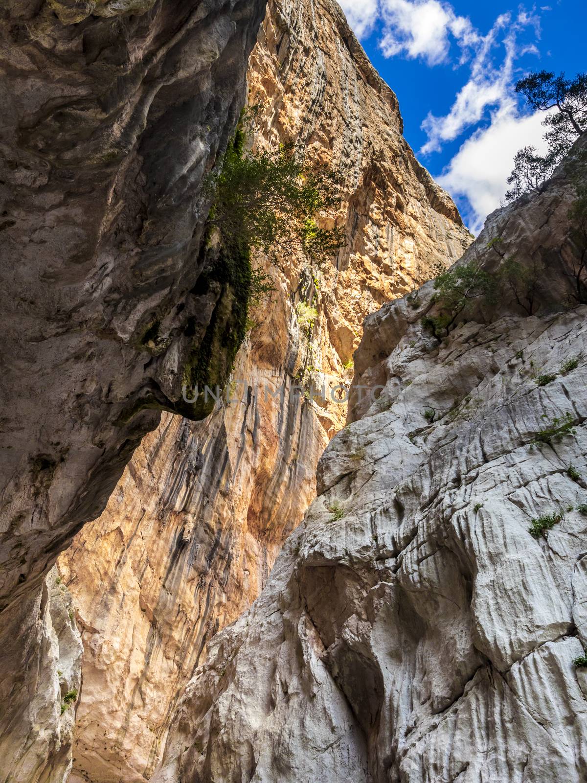 famous gorges of Gorropu in Sardinia, Italy.