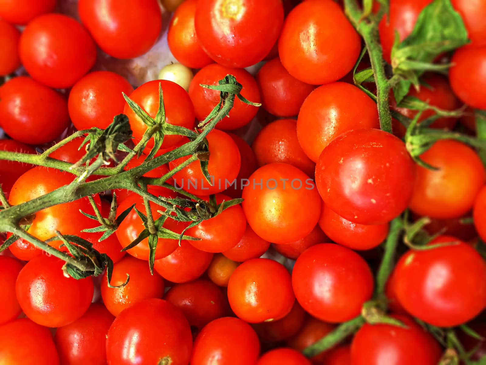 top view of a group of cherry tomatoes. Cherry tomatoes come from the Pachino area in Sicily, Italy