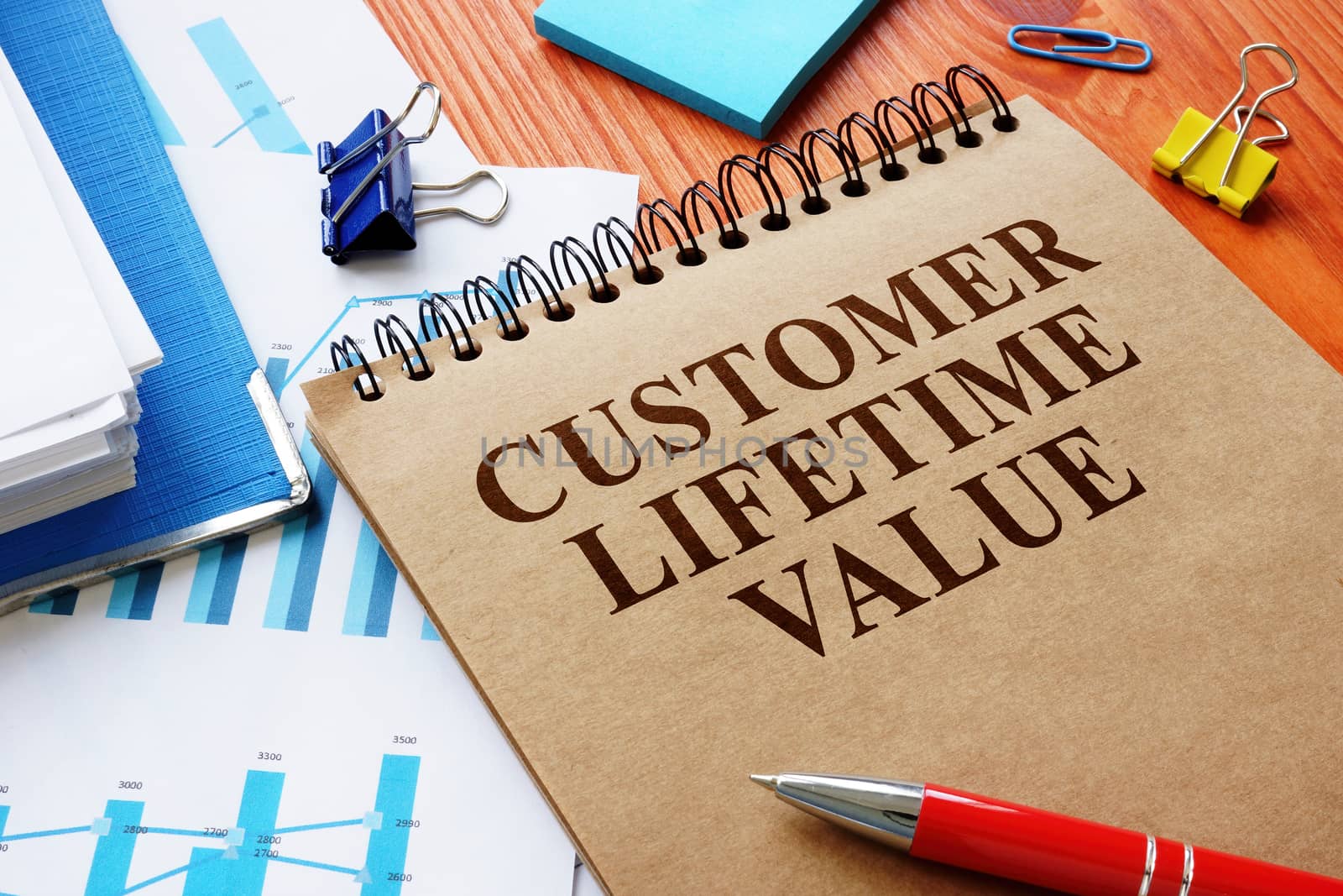 Customer lifetime value report as part of marketing plan.