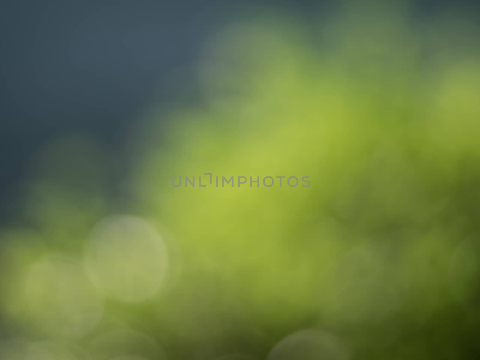 Natural outdoors bokeh background in green and yellow tones, Blu by Satakorn