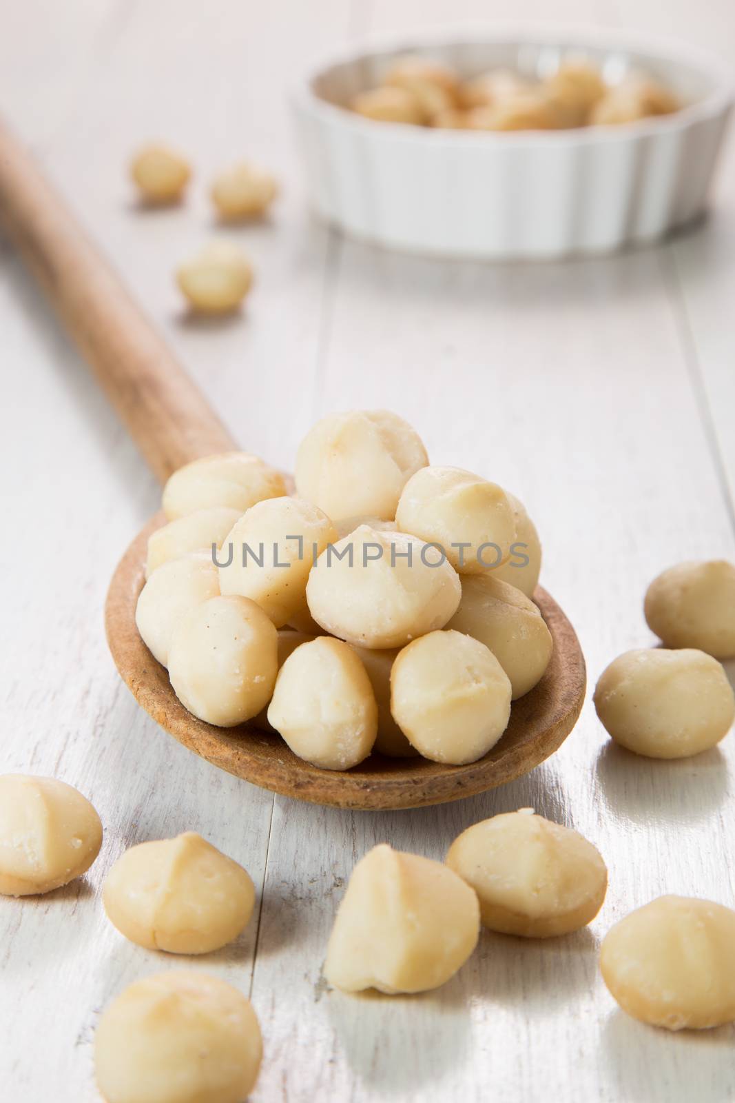 macadamia nut by tehcheesiong