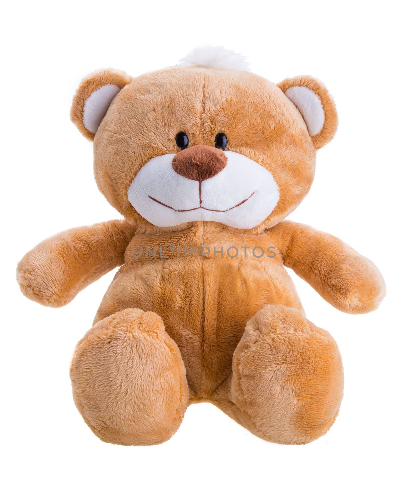 toy teddy bear isolated on white