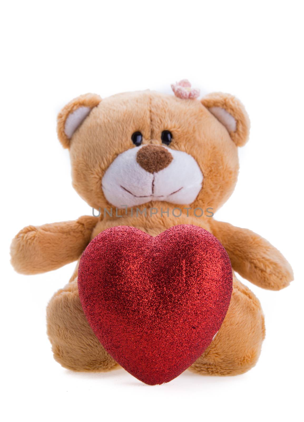 Teddy Bear Holding a Heart on white background