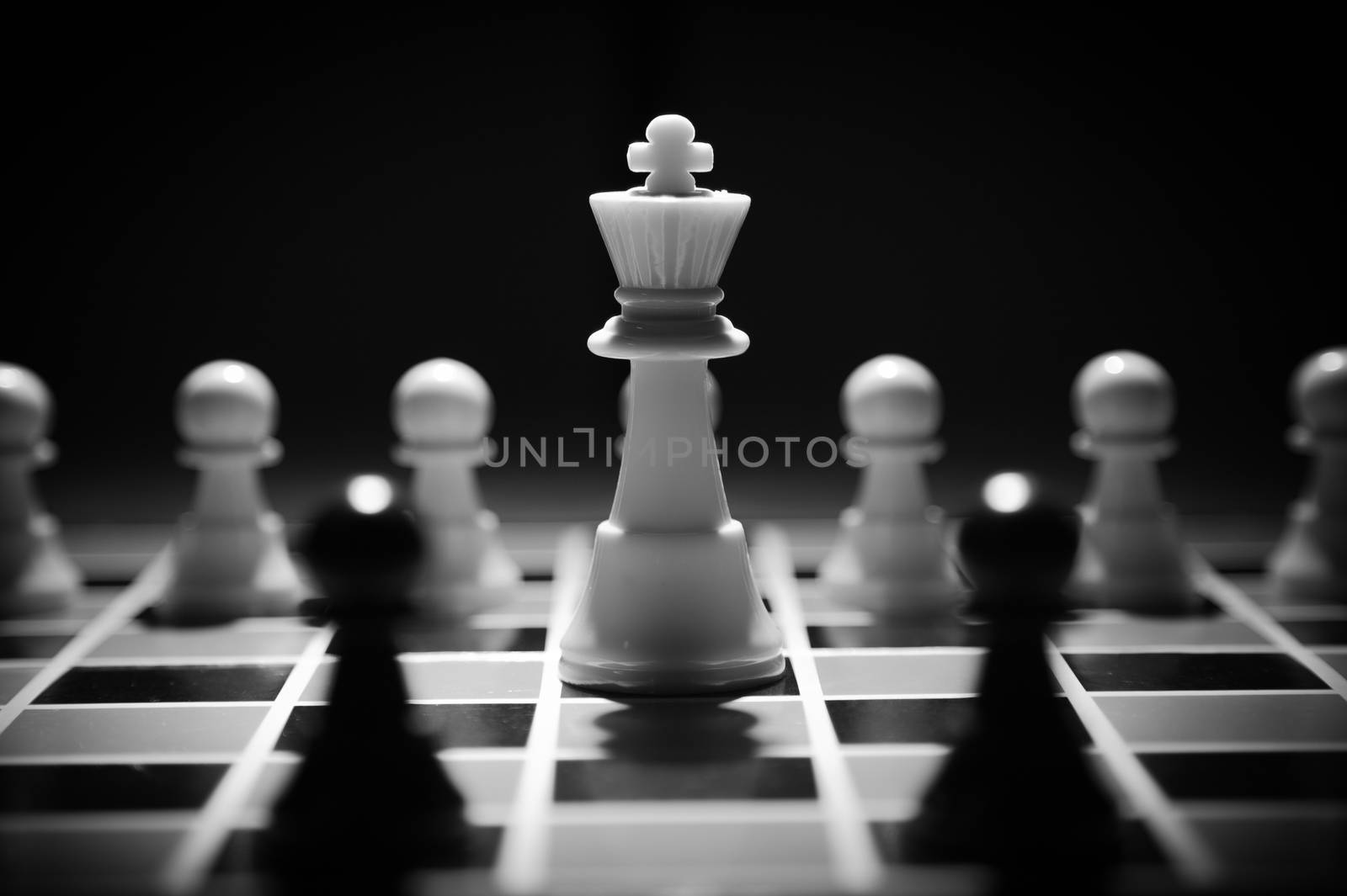 chess piece on the board background