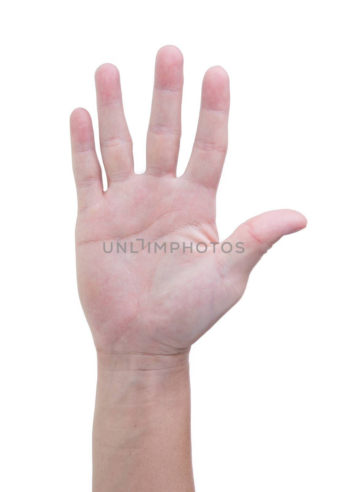 Asian man's hand isolated on white.