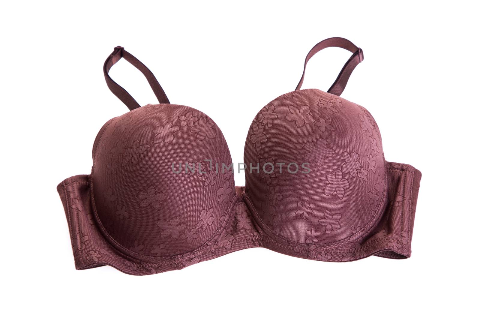 Stylish bra  isolated on background