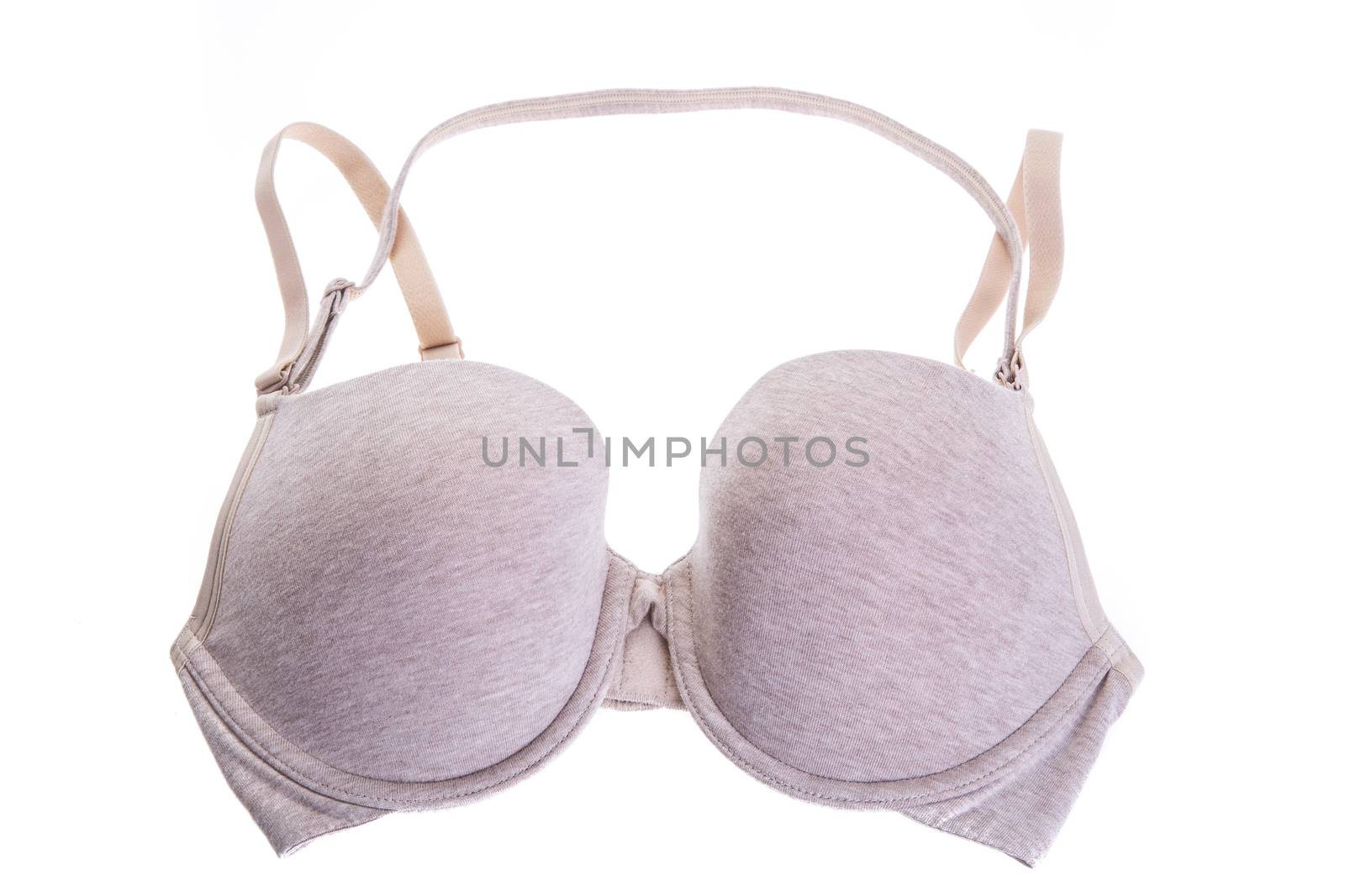 Stylish bra  isolated on background