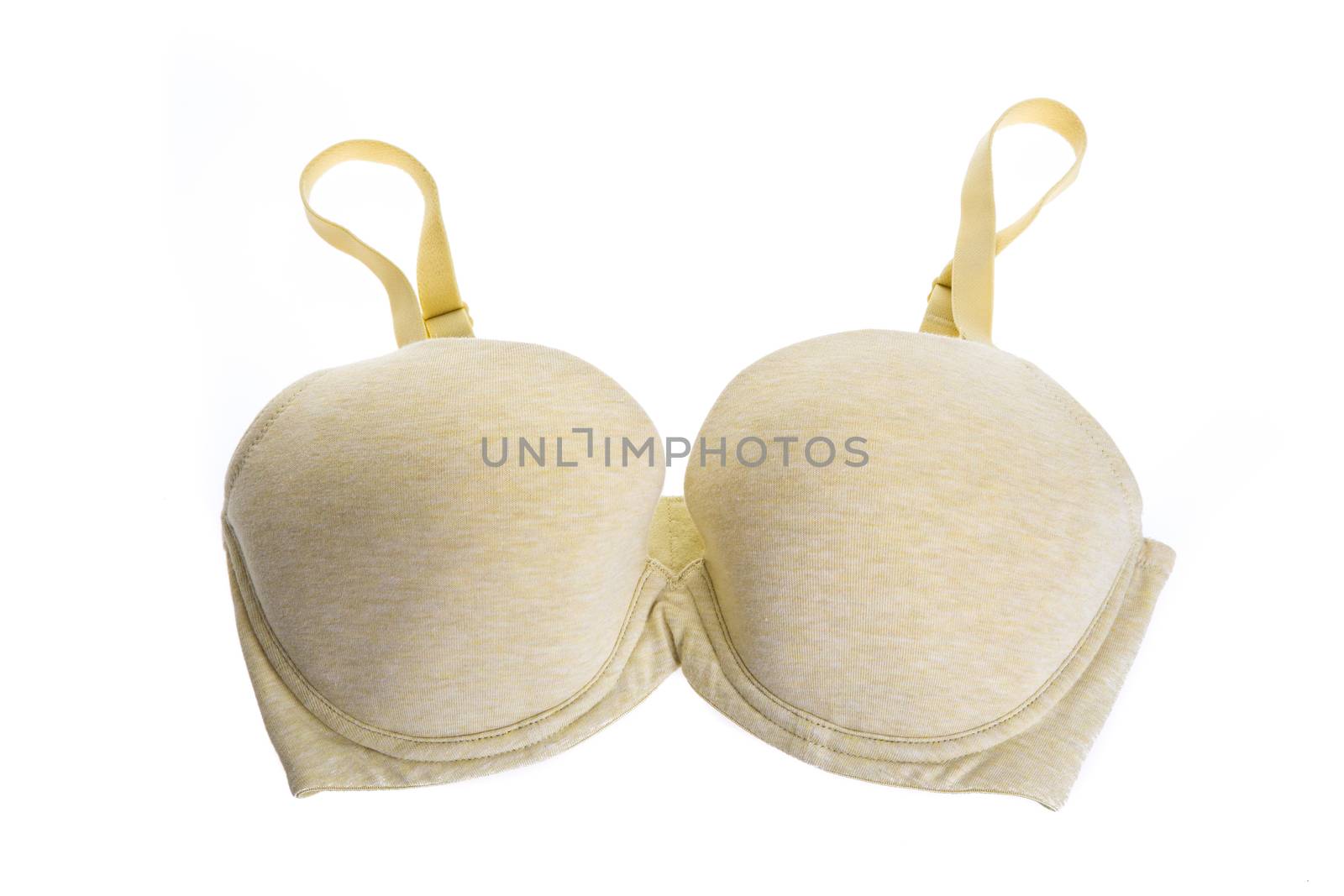 Stylish bra  isolated on background