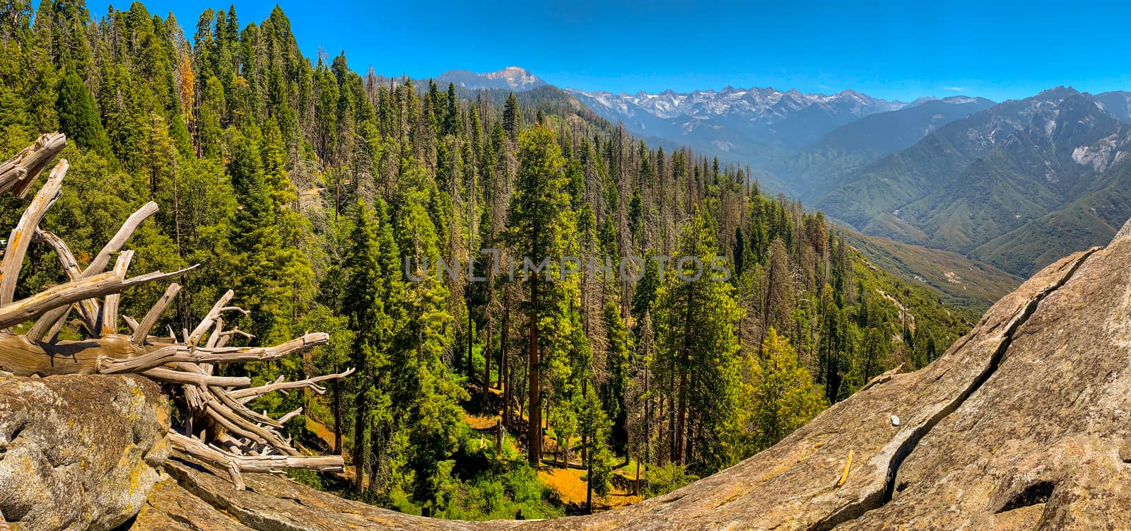 Sequoia National Park in California, USA by nicousnake