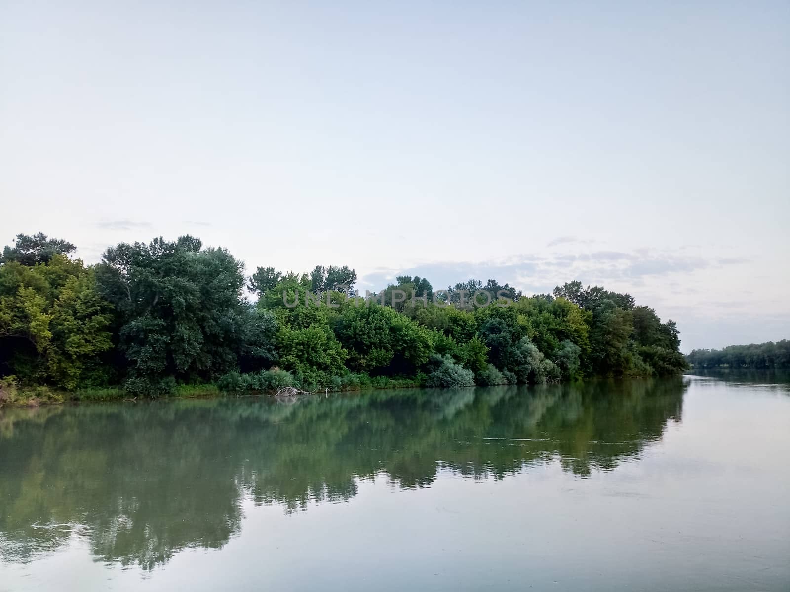 River landscape. River flow. Water surface and trees on the shore.