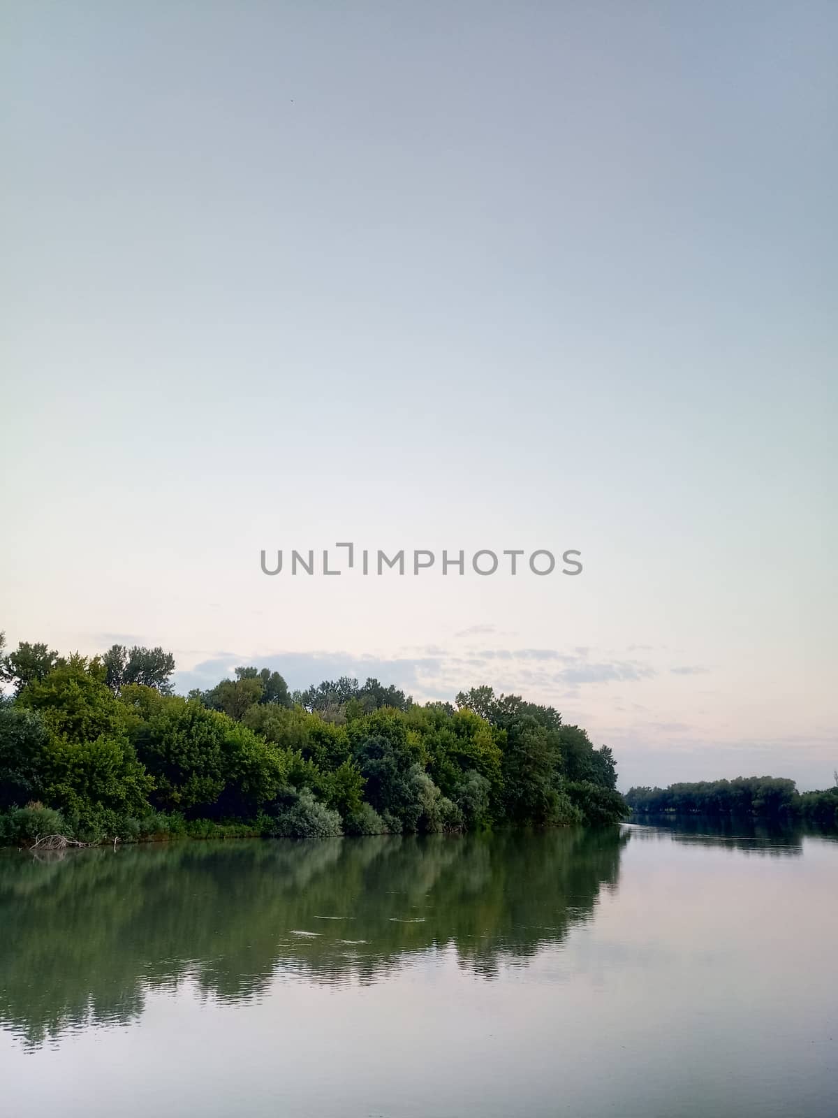 River landscape. River flow. Water surface and trees on the shore.