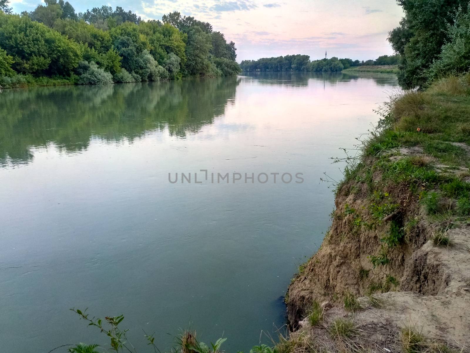 River landscape. River flow. Water surface and trees on the shore.