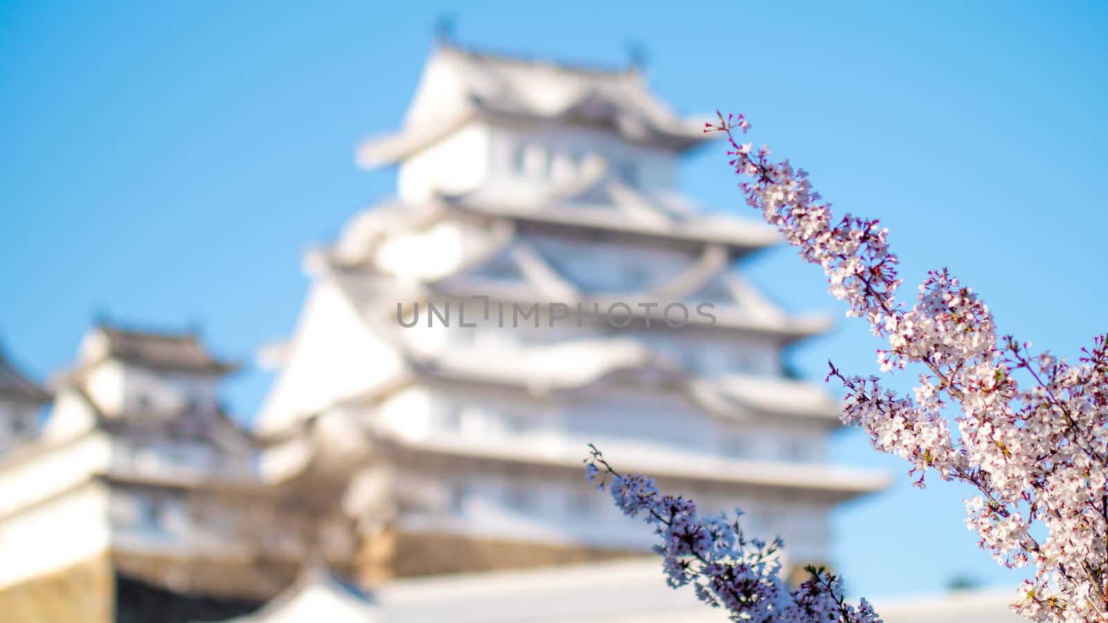 Blurred Hymeji castle with some cherry blossom in front, Hymeji, Kobe, Japan