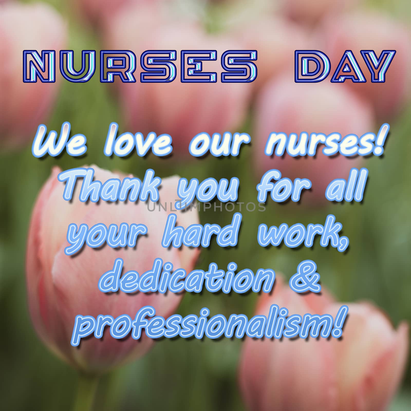 The text of the greeting on the medical holiday-day of the nurse is written on a background of pink tulips. Healthcare and medical concept