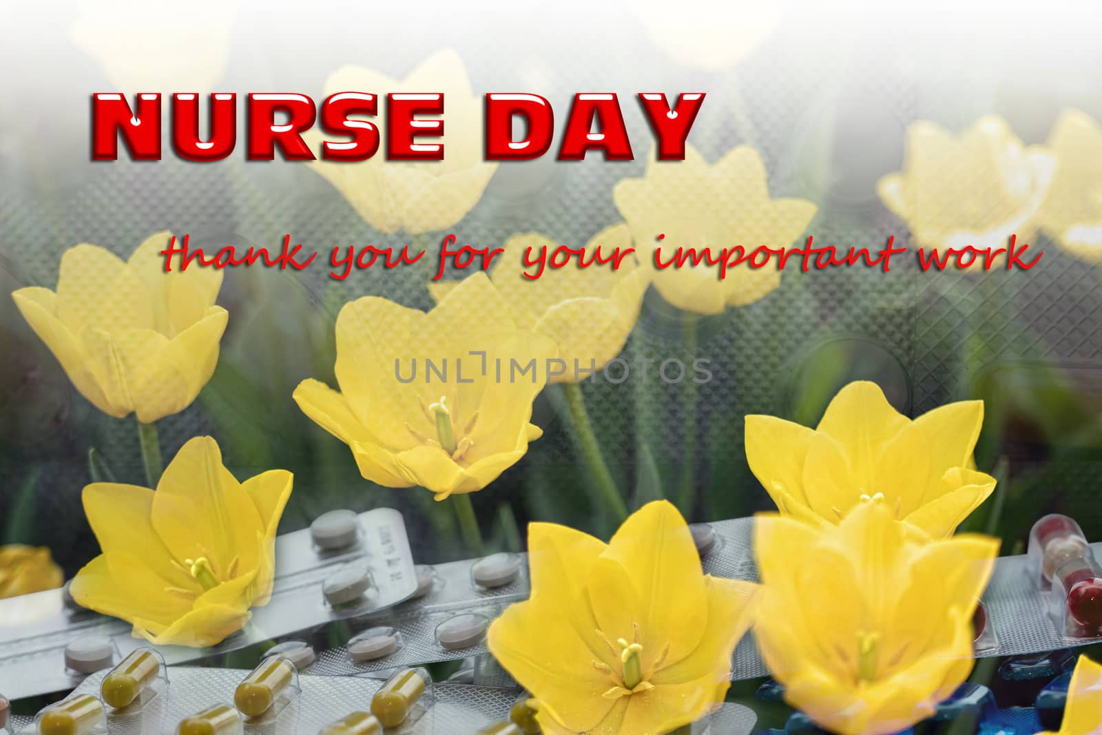 The text of the greeting on the medical holiday-day of the nurse is written on a background of yellow tulips and tablets. Healthcare and medical concept