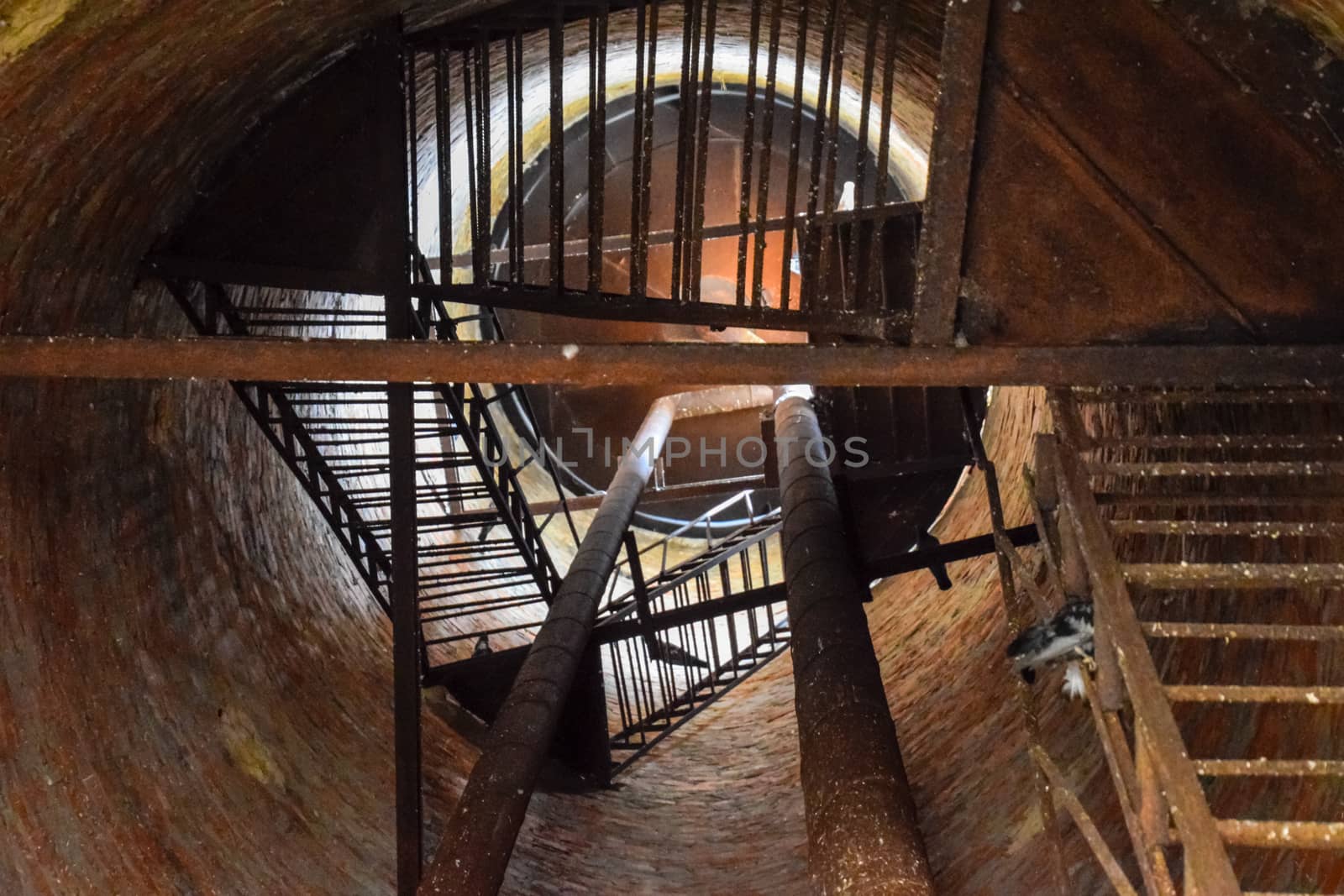 Rusty water tower inside view from top to bottom. Old water pump. Ladder to the water tank, pigeon droppings.