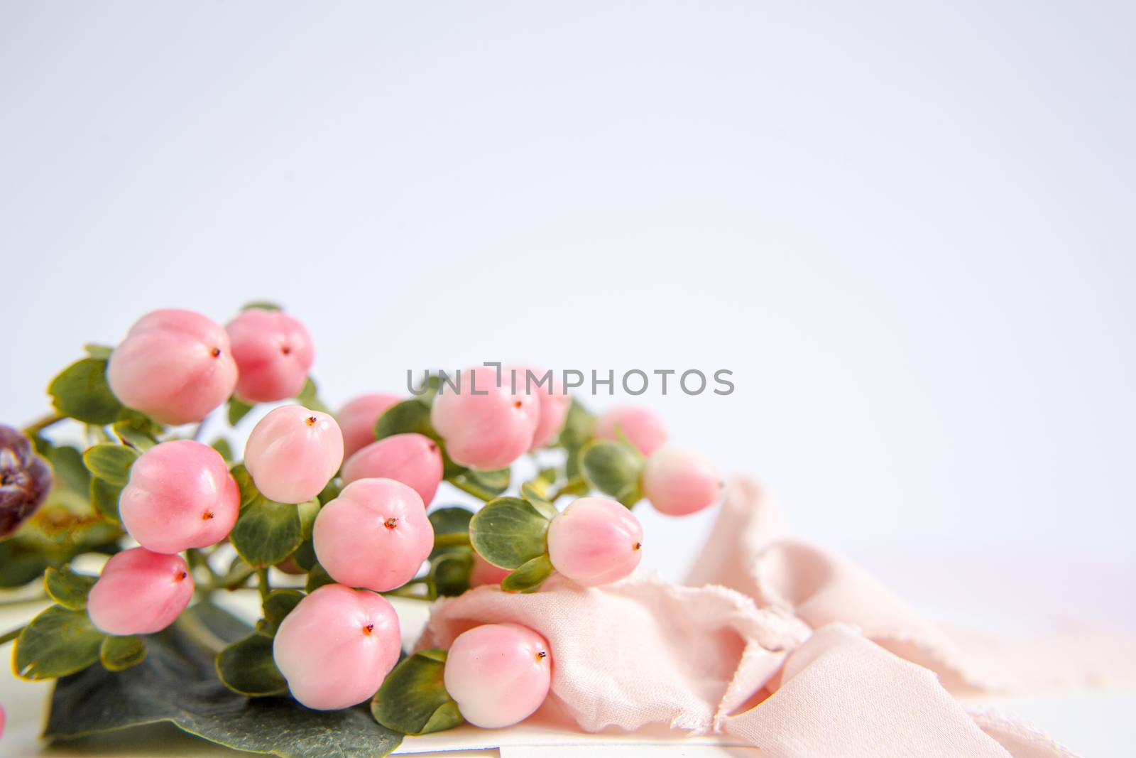 Peach flowers on a purple background with a peach silk ribbon. White and pink flowers. Macro image. Place for text. Greeting card. Mothers Day.