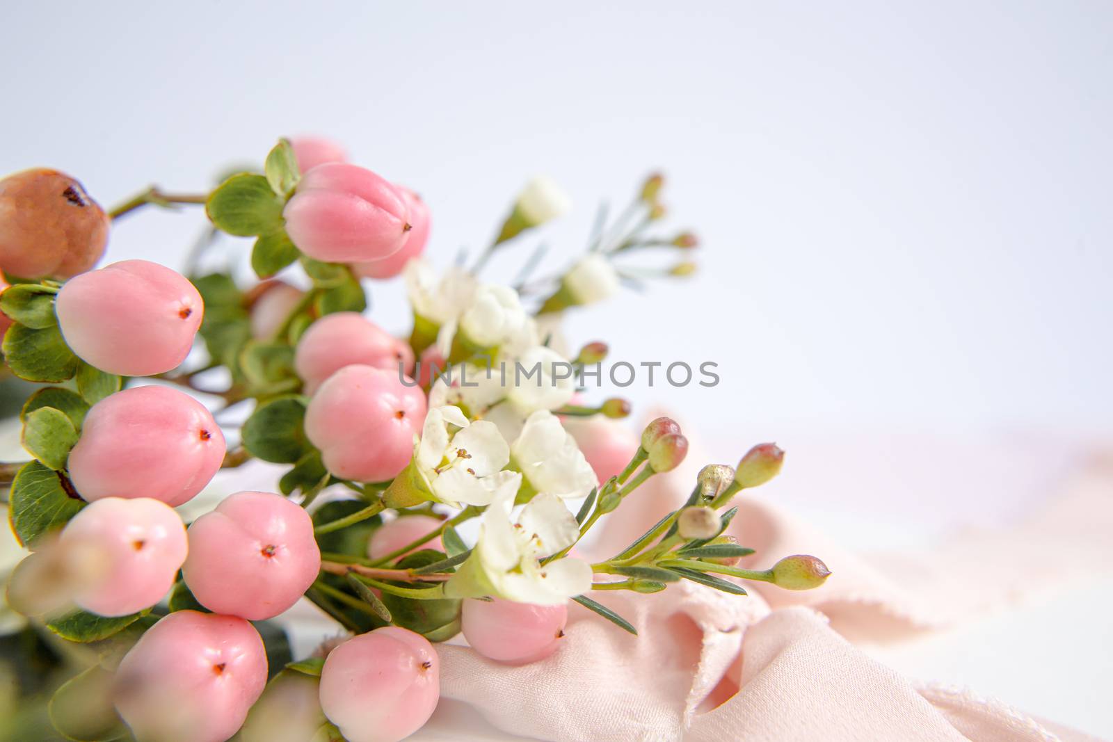 Peach flowers on a purple background with a peach silk ribbon. White and pink flowers. Macro image. Place for text. Greeting card. Mothers Day.