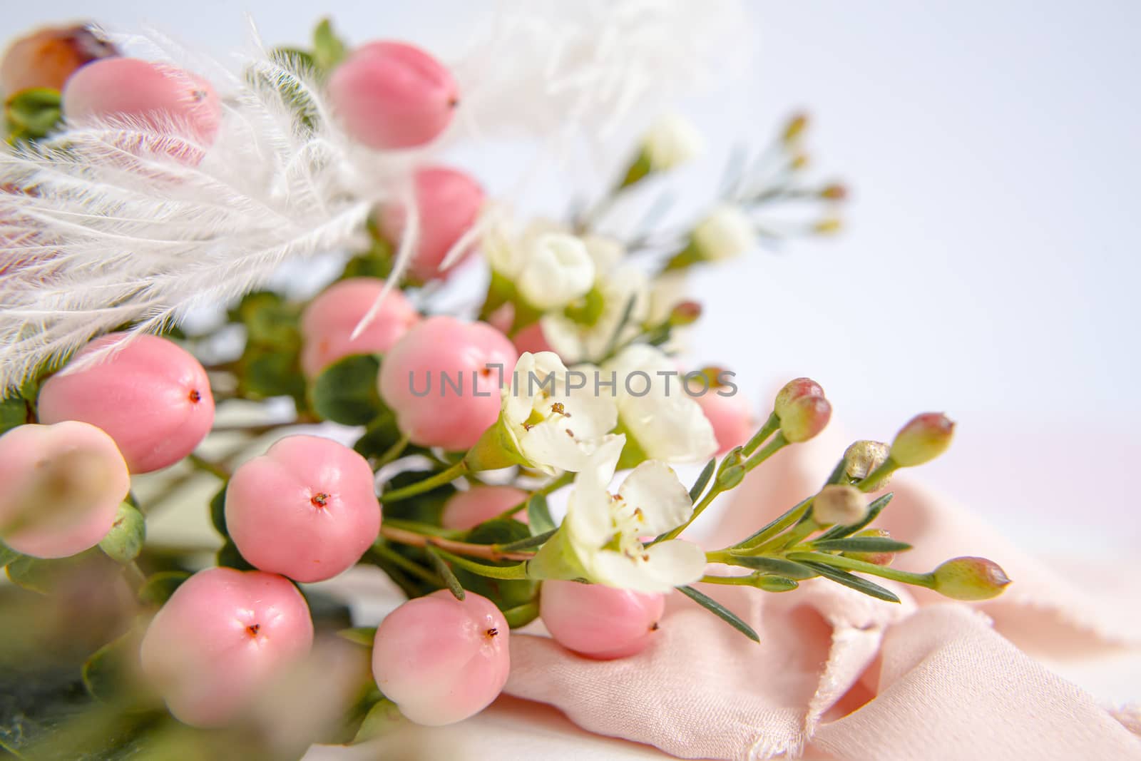 Peach flowers on a purple background with a peach silk ribbon. White and pink flowers. Macro image. Place for text. Greeting card. Mothers Day.