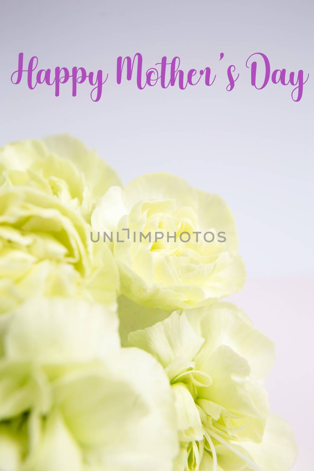 Green yellow flowers on pink and white background. Mother's day card.