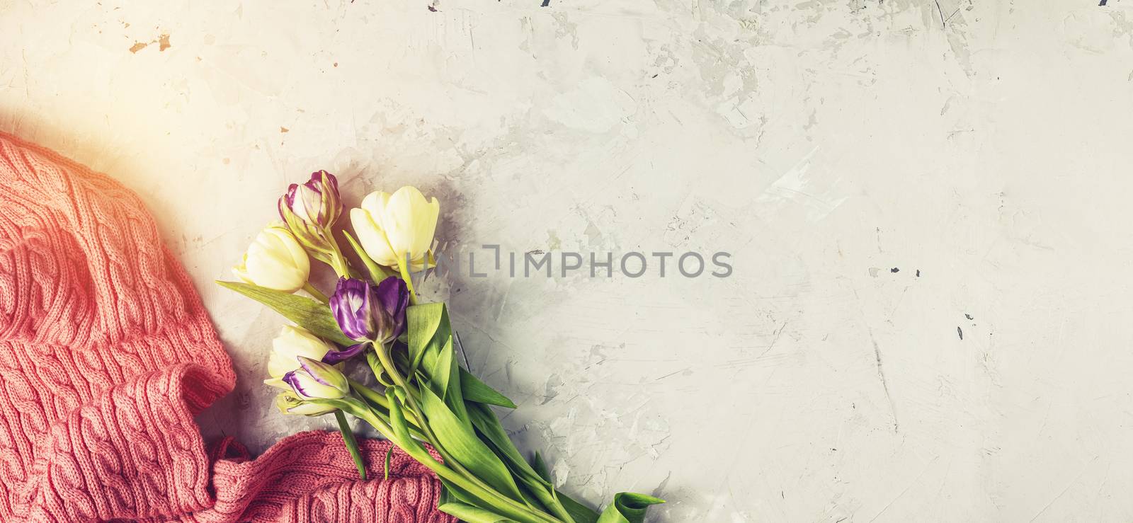Pink blanket, tulip flowers on white background. Flat lay, top view, panoramic view, banner format, copy space