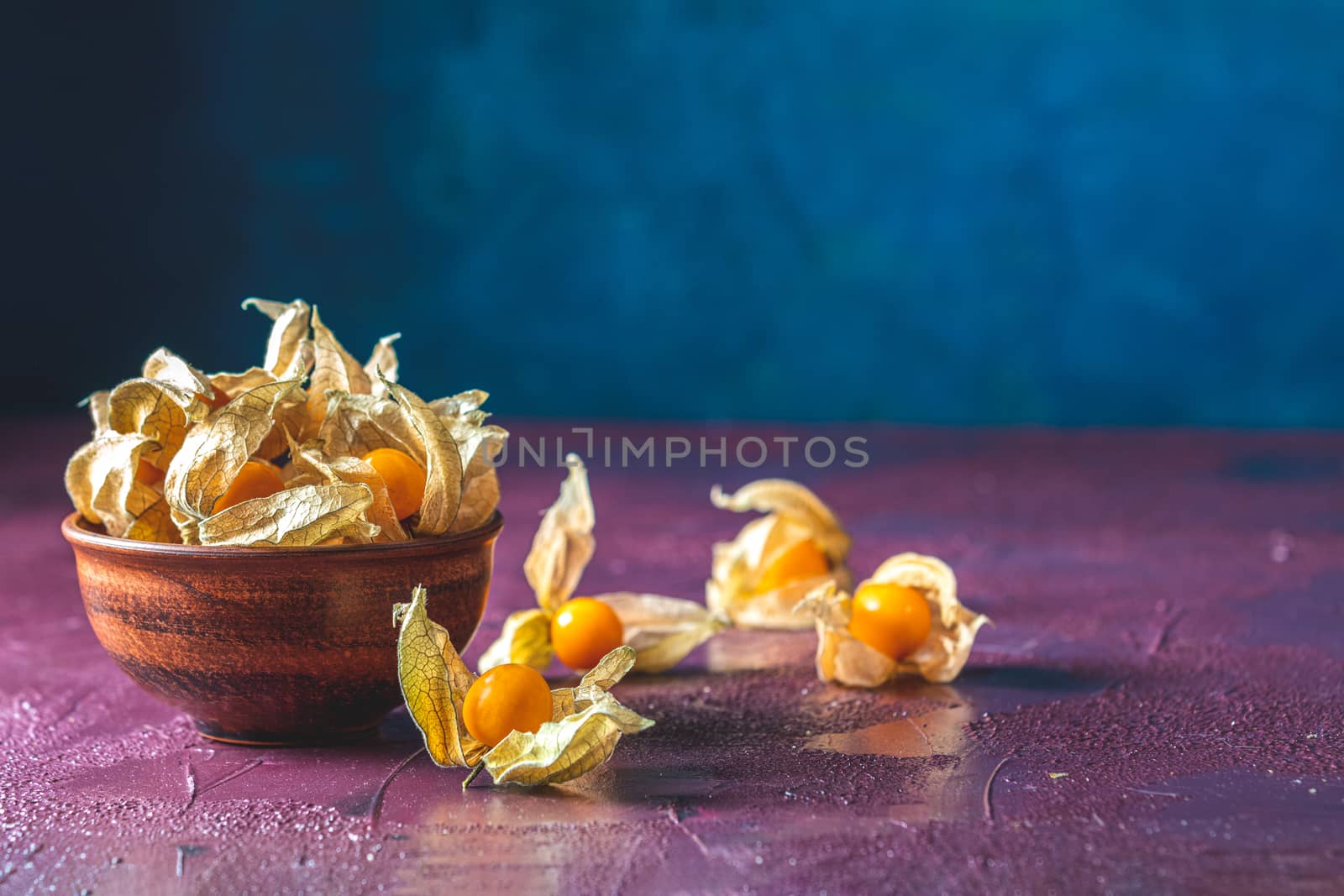 Fresh juicy group organic cape gooseberry in clay dish on dark claret bordeaux concrete surface. Physalis peruviana, Inca berry, poha berries, husk tomatoes. Ripe berries of autumn physalis fruit